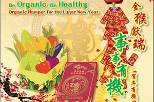 Lunar New Year organic daikon cake